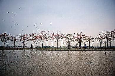 《流放之路》全新资料片“远征”现已在PC上推出